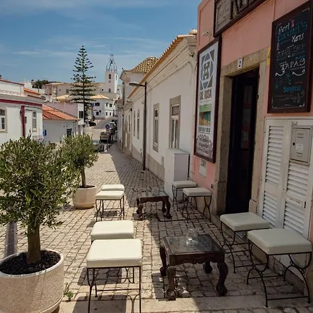 Appartement Homes Near Ocean & Lush Nature 500 M Away From The Ocean