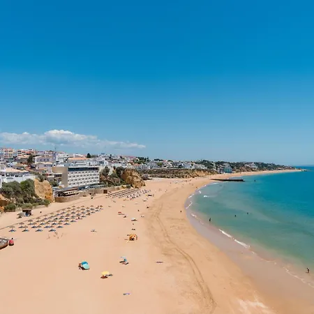 Homes Near Ocean & Lush Nature 500 M Away From The Ocean Appartement