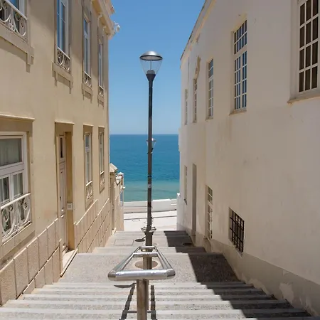 Homes Near Ocean & Lush Nature 500 M Away From The Ocean *