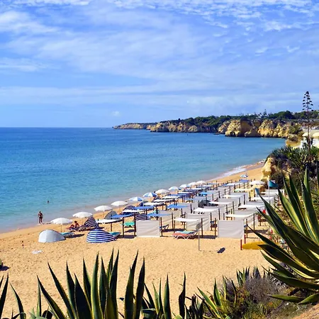 Apartman Homes Near Ocean & Lush Nature 500 M Away From The Ocean Guia