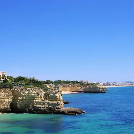 Apartman Homes Near Ocean & Lush Nature 500 M Away From The Ocean